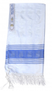 Regular Silk Tallit by Talitnia